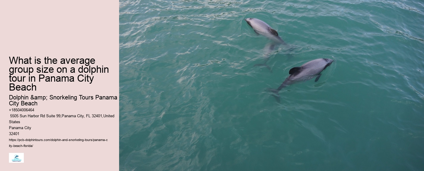 Water Planet Dolphin Swim Tours Panama City Beach Fl