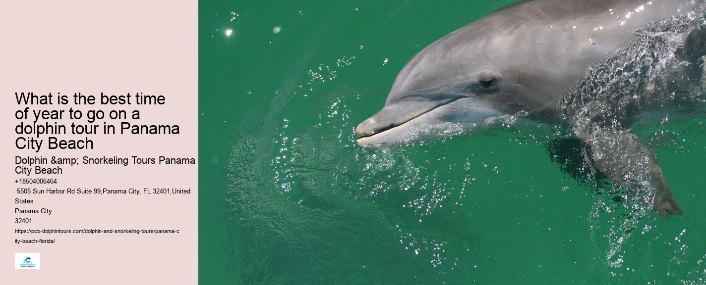 Panama City Beach Private Boat Tours