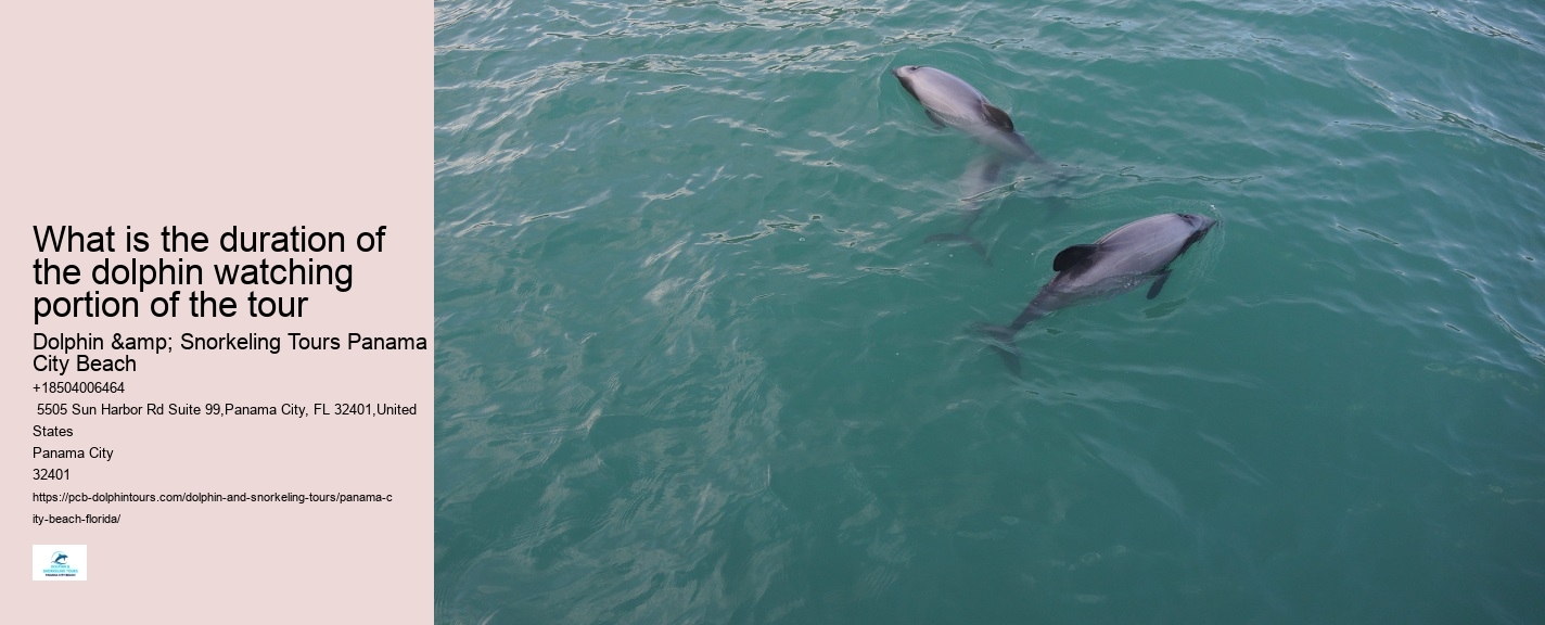 Come Swim With The Dolphins