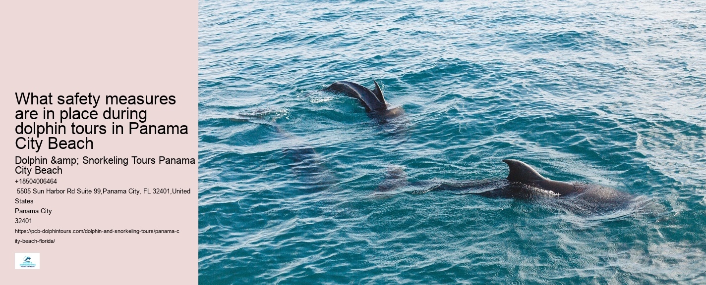 Panama City Beach Boat Tours To Shell Island