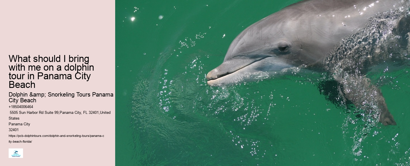 What Time Of Day Are Dolphins Most Active